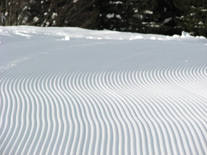 Groomed Trail Groomed Trail